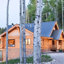 New Mexico Handcrafted Log Home