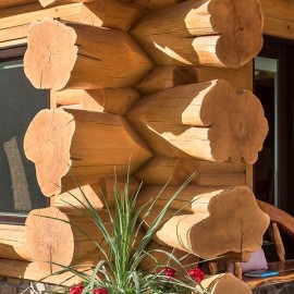 New Mexico Handcrafted Log Home
