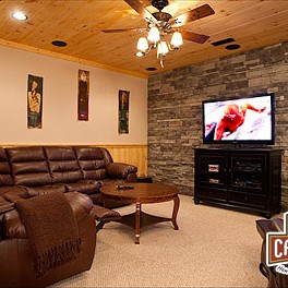 Falling Waters Lodge - Media Room