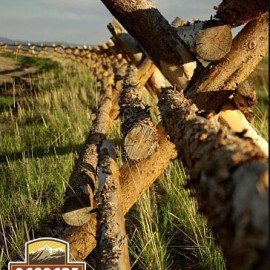 Flying Horse Ranch Style Fencing