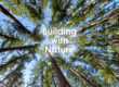Building with Nature