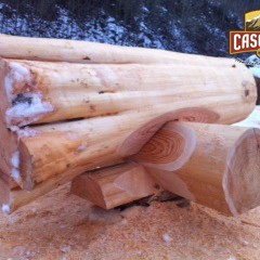 Latewood log finish