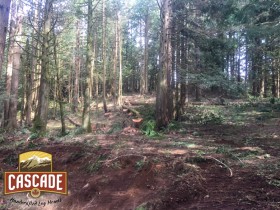 Cascade Selective Harvesting