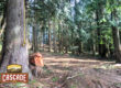CascadCascade Selective Harvestinge-selective-harvest