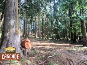 CascadCascade Selective Harvestinge-selective-harvest