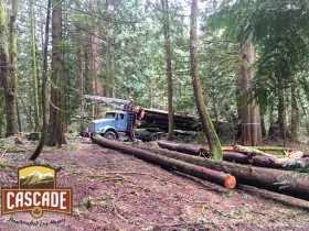 Cascade-sCascade Selective Harvestingelective-harvest