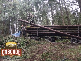 Cascade Selective Harvesting