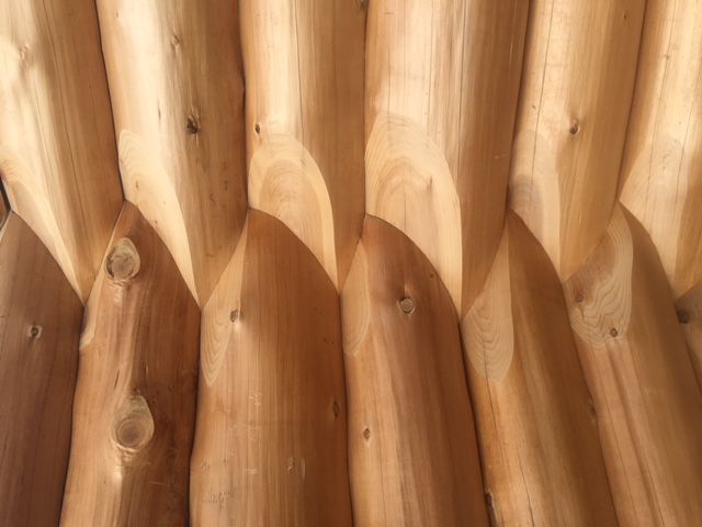 Washington State - Latewood Finish