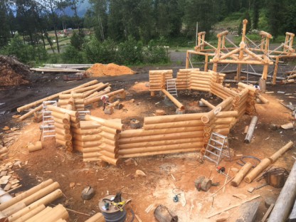 Latewood Finish - Cascade Handcrafted Log Homes