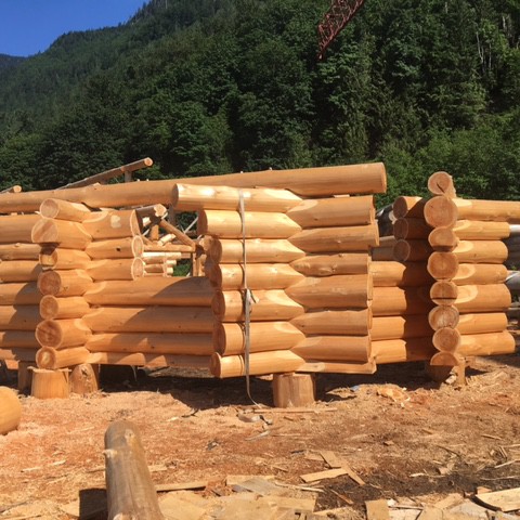 Latewood Finish - Cascade Handcrafted Log Homes