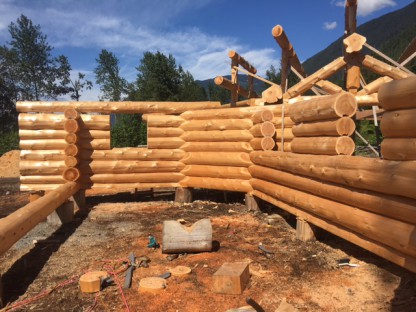 Latewood Finish - Cascade Handcrafted Log Homes