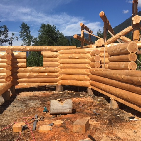 Latewood Finish - Cascade Handcrafted Log Homes