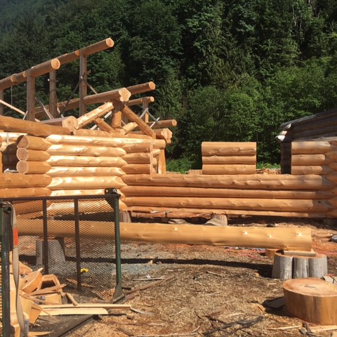 Latewood Finish - Cascade Handcrafted Log Homes