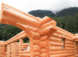 western-red-cedar-log-flare