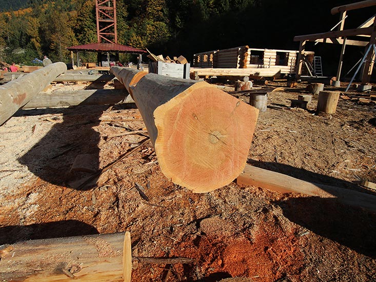 Cascade Handcrafted Log Timber Home