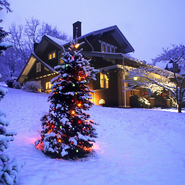 christmas log cabin cascade cash giveaway