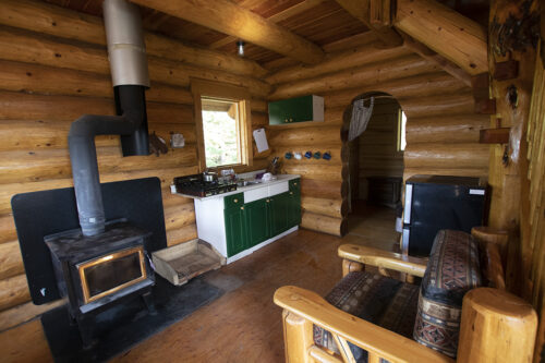 national log cabin day