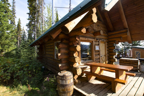 national log cabin day