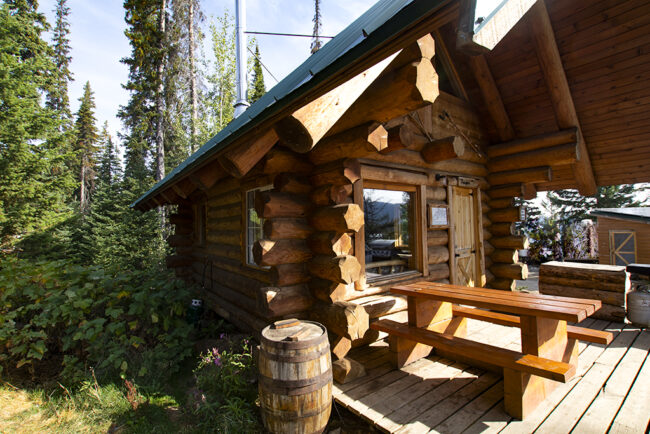 national log cabin day