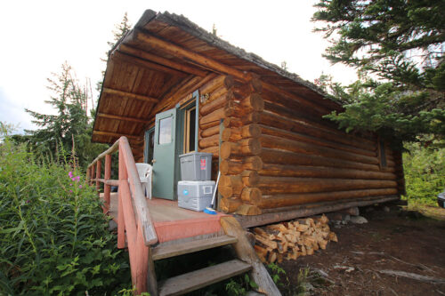 national log cabin day
