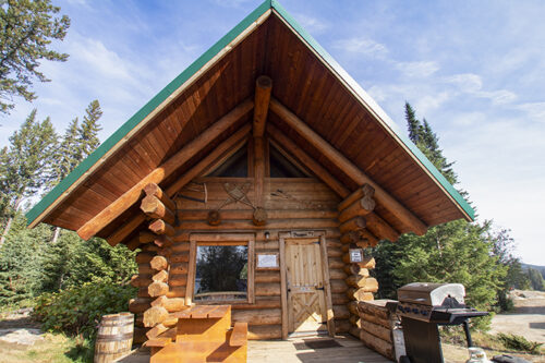 national log cabin day