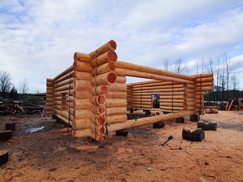 Cascade Handcrafted Log Home - Arizona
