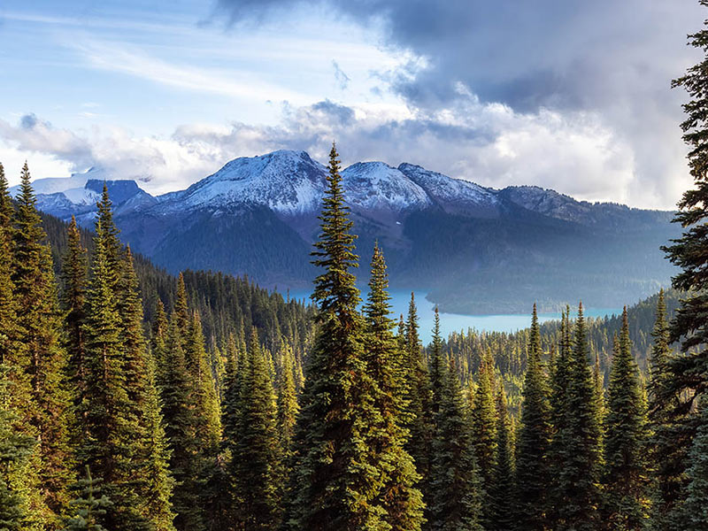 Cascade Handcrafted – Sustainability of BC Forests Cascade Handcrafted - Sustainability of BC Forests