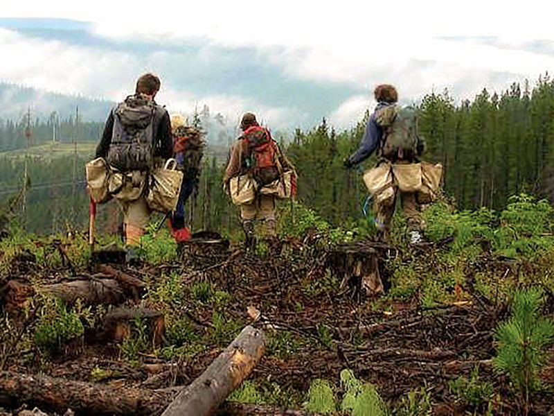 Cascade Handcrafted - Sustainability of BC Forests