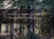 How Log Home Builders Choose The Perfect Logs
