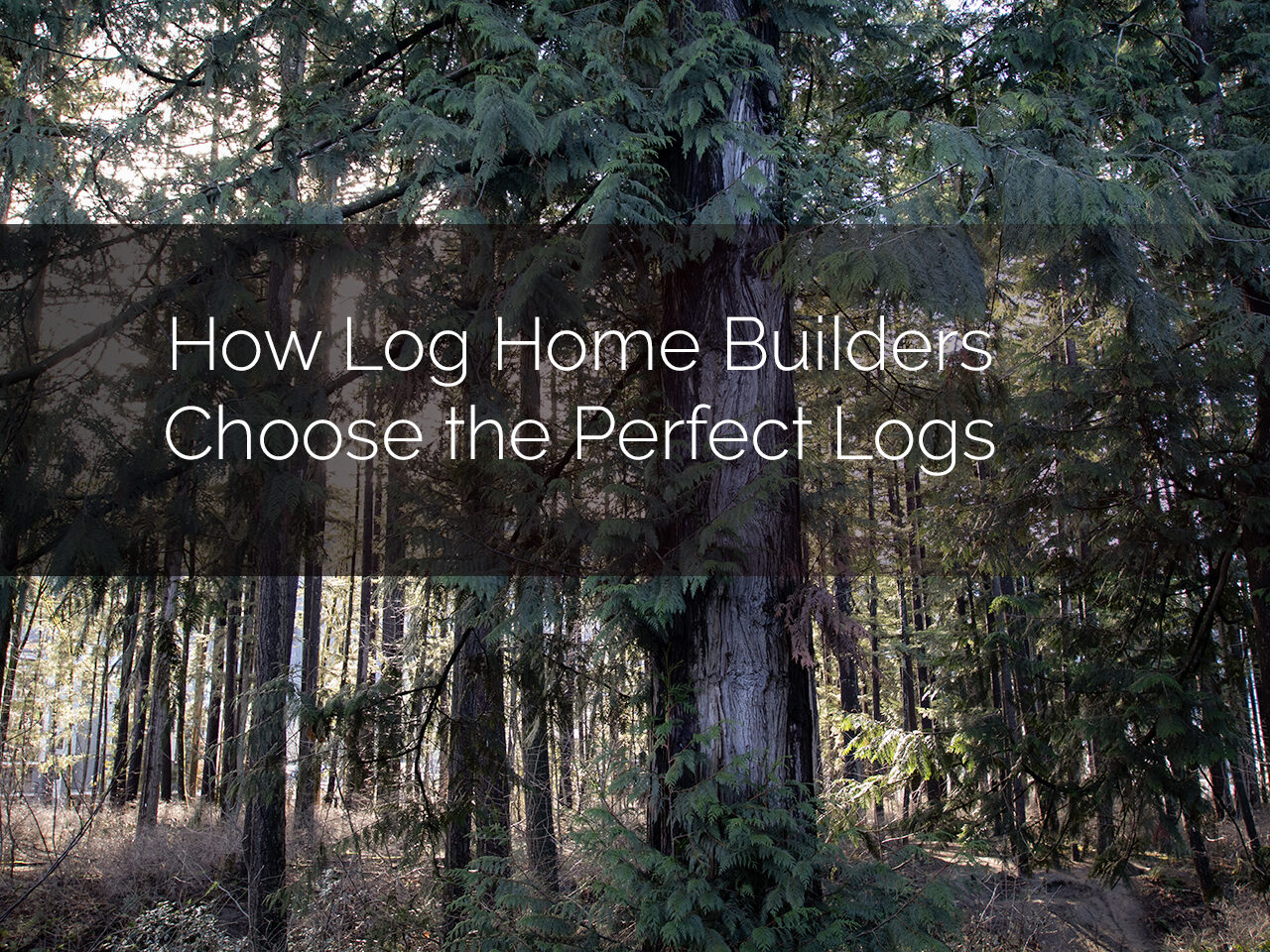 How Log Home Builders Choose The Perfect Logs
