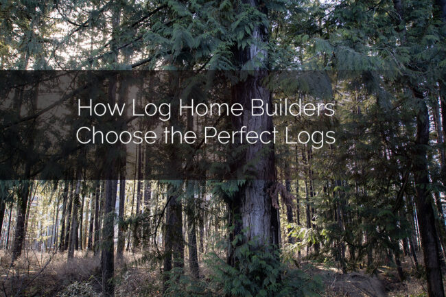 How Log Home Builders Choose The Perfect Logs How Log Home Builders Choose The Perfect Logs