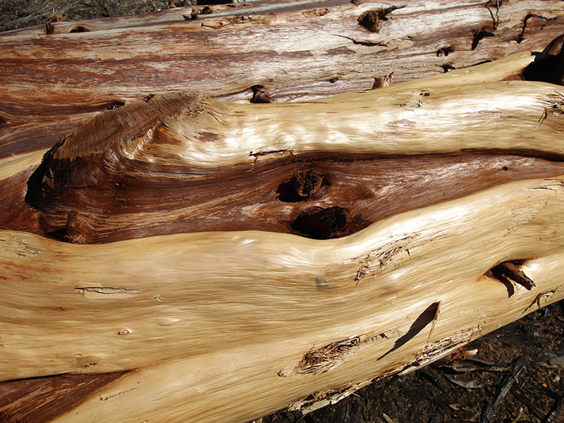 Cascade Handcrafted - Lightning Log