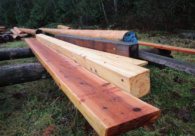 Yellow Cedar vs. Western Red Cedar