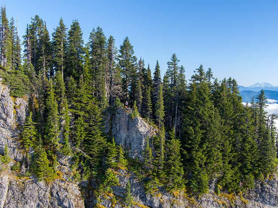 How The Environment Shapes a Log How The Environment Shapes a Log