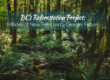 BC Reforestation Project