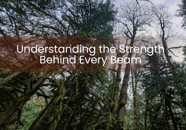 Understanding the Strength Behind Every Beam