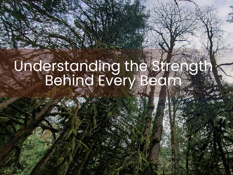 Understanding the Strength Behind Every Beam Understanding the Strength Behind Every Beam