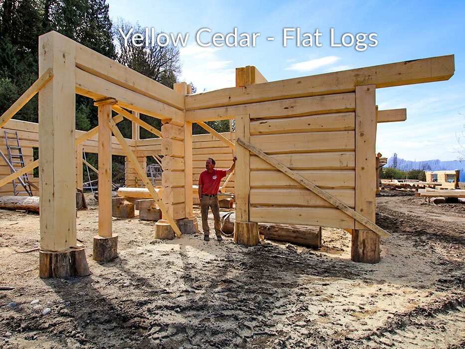 Yellow Cedar - Flat Logs