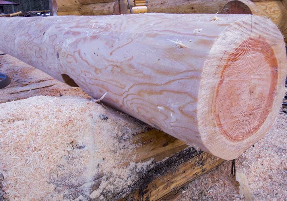 Douglas Fir Douglas Fir