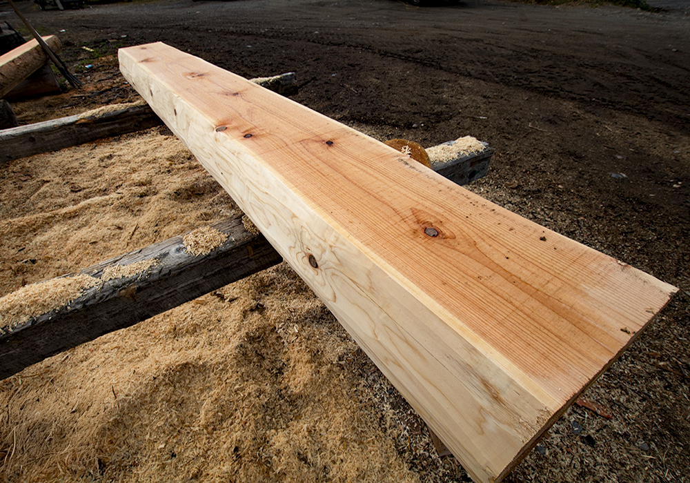 Western Red Cedar Western Red Cedar