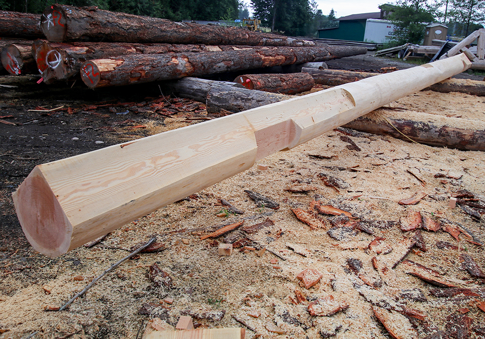 Douglas Fir Logs Douglas Fir Logs