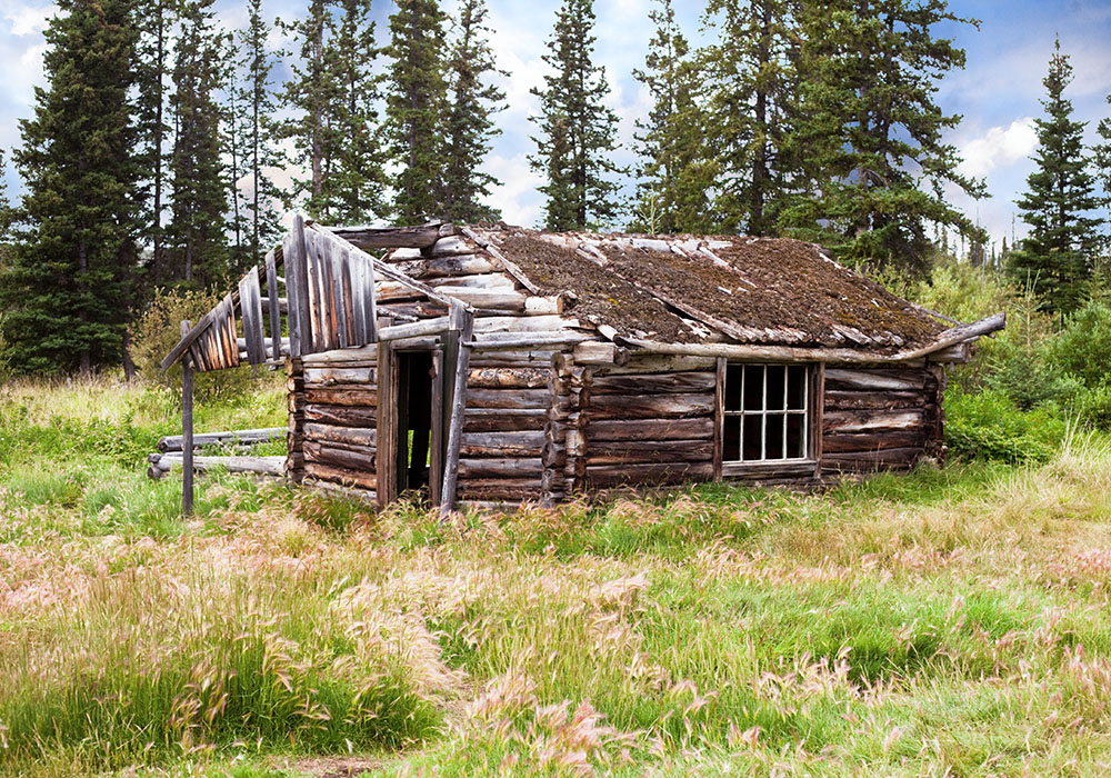 The Environmental Footprint of a Handcrafted Log Home The Environmental Footprint of a Handcrafted Log Home
