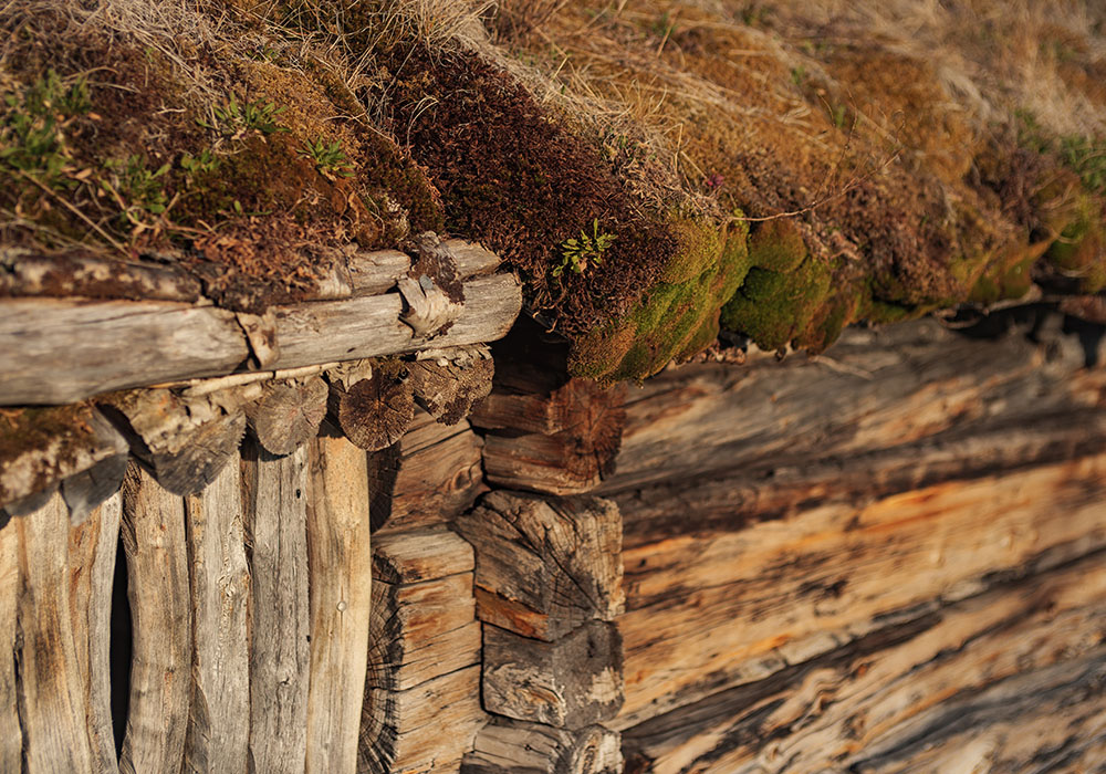 The Environmental Footprint of a Handcrafted Log Home The Environmental Footprint of a Handcrafted Log Home