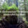 The Environmental Footprint of a Handcrafted Log Home