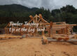 Timber Tuesday at the Log Yard