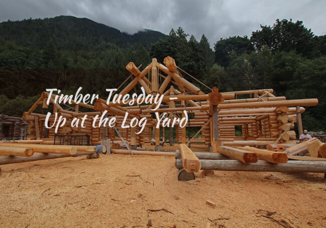 Timber Tuesday at the Log Yard Timber Tuesday at the Log Yard