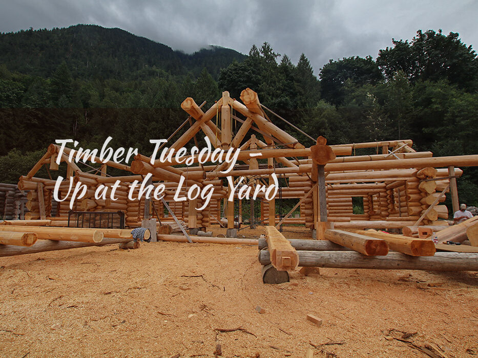 Timber Tuesday at the Log Yard Timber Tuesday at the Log Yard