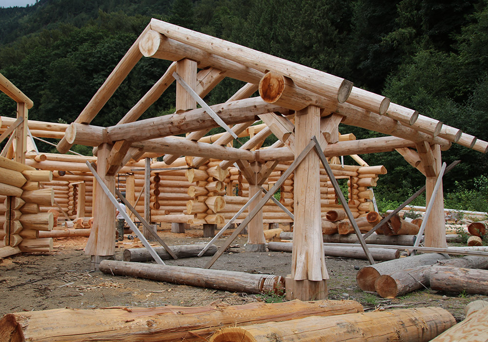 Timber Tuesday at the Log Yard Timber Tuesday at the Log Yard