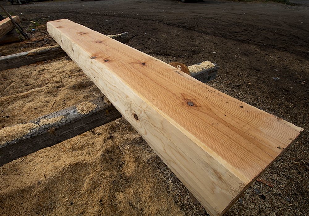 Western Red Cedar Log Western Red Cedar Log