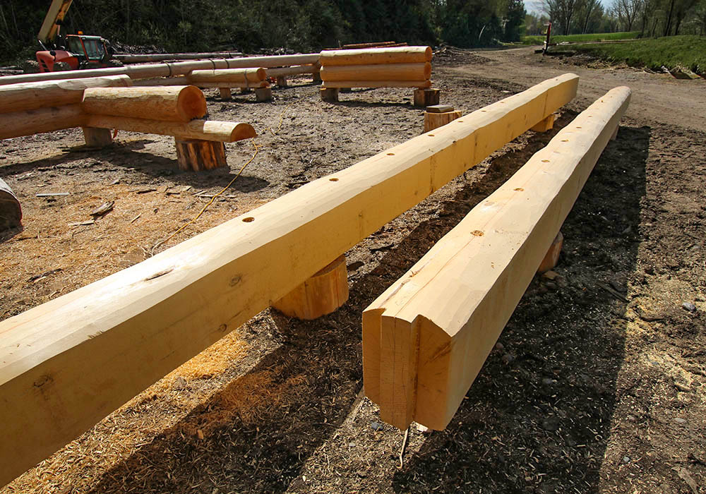 Yellow Cedar Flat Logs Yellow Cedar Flat Logs